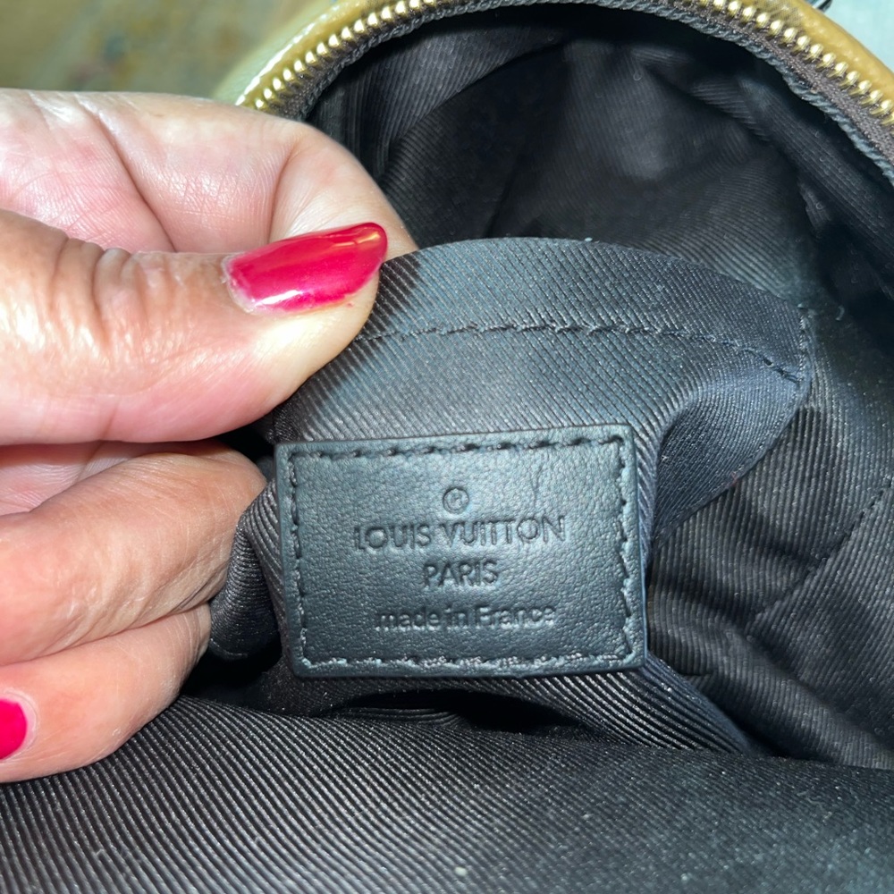 Louis Vuitton Reverse Monogram Palm Springs Mini Backpack - Picture 12 of 12